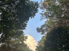 -苏州环秀晓筑养生度假村