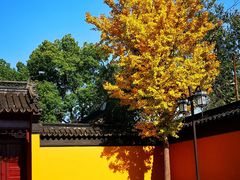 -西园戒幢律寺