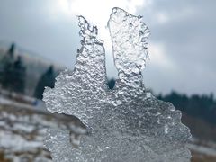 -武陵山森林公园