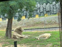 -秦皇岛野生动物园