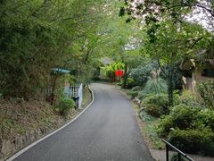 -芳草地度假酒店·野炉中餐厅