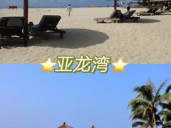 -亚龙湾热带天堂森林公园
