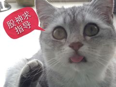 A+摄影-A+摄影