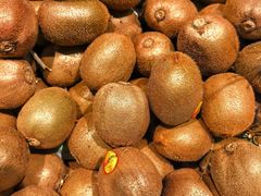 -浦江城市生活广场(江月路店)