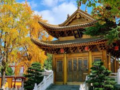 -上海东林寺(金山区)