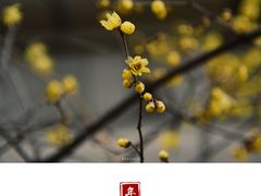 -山东师范大学(千佛山校区)