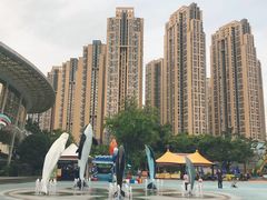 -海合安成都极地海洋公园