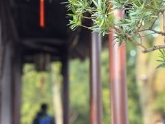-拙政园