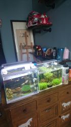 -椿树下·Tattoo纹身工作室