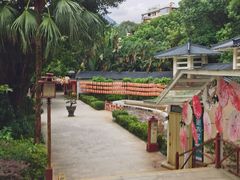 -江门古兜温泉小镇