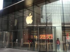 -Apple零售店(华贸购物中心店)