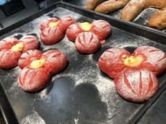 -可莎蜜兒(金城店)