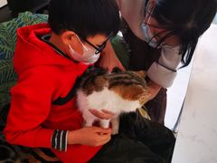 -平行世界·猫咖(首经贸店)