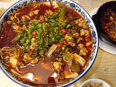 -陈麻婆豆腐总店