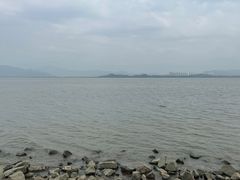 -深圳湾公园(南山区)