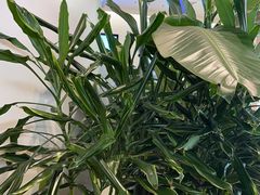 -观心实验室·心理咨询(上海旗舰店)