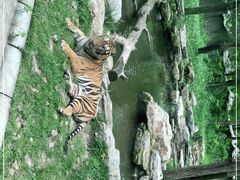 -北京野生动物园