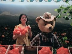 -济州岛泰迪熊博物馆