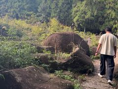 -玉苍山国家森林公园