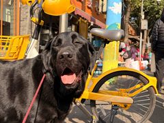 -老黄记手撕烤兔(玉林街店)