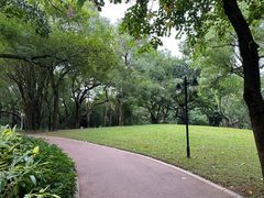-晓港公园