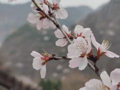 -八达岭长城