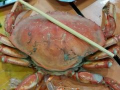 android_upload_pic-胶东海鲜大排档(北太平庄店)