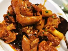 -刘胖子家常菜·蹄花焖藕(兴业店)