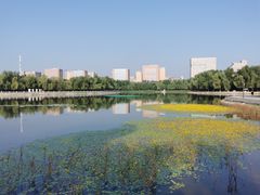 -长春世界雕塑园