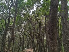 -喻家山