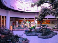 -陕西自然博物馆