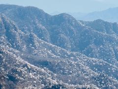 -大岭沟猕猴桃谷风景区