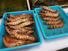 -ZF Seafood Restaurant 卓峰海鲜餐
