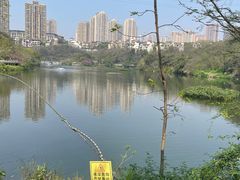 -重庆彩云湖湿地公园