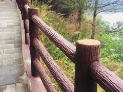 -羚羊峡古栈道森林公园