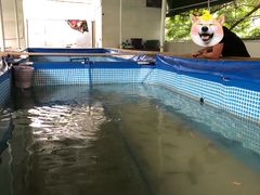 -小象钓虾·营地烧烤(洛溪店)