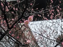 -上海市第十人民医院(总院)