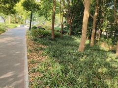 -黄兴公园