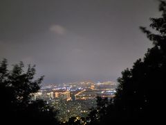-惠山国家森林公园