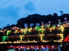 -枇杷园食为鲜火锅(南山店)