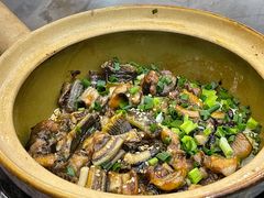 -红星光发煲仔饭(文海店)