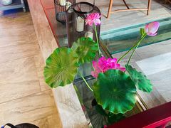 -禧鳳記·猪肚鸡火锅(玖洲道店)