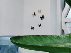 -ALIV WELLNESS运动健身(浦东大道店)