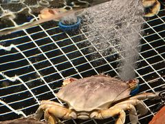 -桐湾大院·桐庐菜(滨江店)