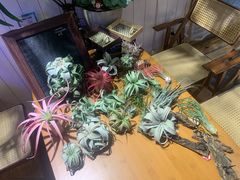 -Rabbit Cafe私房西餐甜点咖啡(栖霞路店)