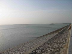 -合肥滨湖国家森林公园