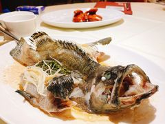 清蒸东星斑-利苑酒家(华熙国际店)