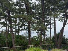 -柱状节理带