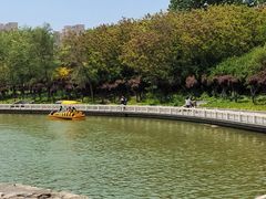 -塘沽森林公园