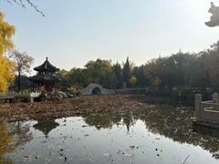 -莲池书院博物馆